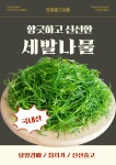 당일경매 국내산 세발나물 신선한 봄나물 경매후바로발송 제철 요리용 가정용 : 오케이농산물센터