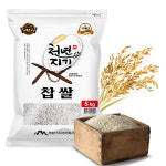 [한국미곡거래소] 비슬산 천년지기 찹쌀5kg : 한국미곡거래소