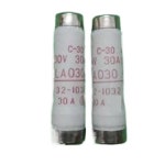 Fuses BLA003 3A 300VDC 600VAC / BLA005 BLA010 BLA030 BLA040 BLA125(BLA030) BLA125 : MINNESOTA1