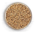 노스 마운틴 공급 - B-2R-PAM-18 아메리칸 베이스 몰트 몰트) 페일 에일 18파 4 2-Row Pale Ale Malt : 가포니