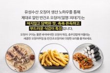 동해안 반건조 오징어(원양산-특대) 5마리 : 유성수산