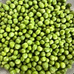 햇 완두콩 껍질콩 산지직송 제철완두콩 2kg, 1개 : 예준농장