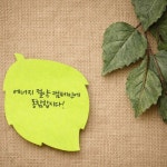 프린텍 스티키노트 모양스티키 나뭇잎 모양 포스트잇 50매 : 한울그로스