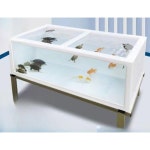 대형 수조 플라스틱발 밑면배 물고기 촬영소품 거북이 수족관 화이트60x40x30cm 수중 1 횟집 : 바닐라하우스9
