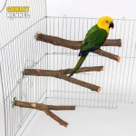 15/20/30cm 천연 나무 애완 동물 앵무새 원시 포크 가지 스탠드 랙 다람쥐 햄스터 Perches 씹는 장난감 StickD9091 : 가성비쇼퓡