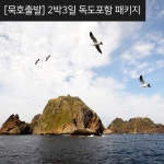 [묵호 출발] 울릉도 2박3일 독도포함 패키지 : 파란투어 여행사