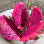 [Dragon Fruit] 베트남 프리미엄 레드 용과 : 산지담은