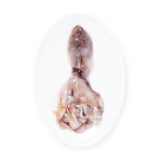 낙지(홀)(2~4미) 냉동 850g : 마켓펀치