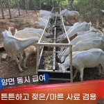 반영구적사용가능 가축용고무사료통 양염소여물통 축사용급이기 고무벨트식통 사료급여통 축산용품 : 모드니 직구