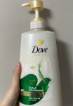 도브 스칼프 너리싱 샴푸 680ml : 스토리 아트