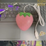 소녀를 위한 핑크 딸기 유선 마우스 소형 광학 PC 컴퓨터 게임 : 쇼퓡