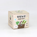 강낭콩키우기 관찰일지 포함 식물키트 씨앗 팜팜 : 마이리움