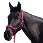 말을 위한 호즈메텍스 4 매듭 로프 홀터 u2013 강력한 1/4 u2033 뻣뻣한 비트리스 트레이닝 홀터, 가볍고 조절 가능한 (핑크, 스탠다드) : 슈레아