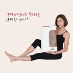 [선월드]Solar-300 베개 마사지기 : 신우메디칼통상