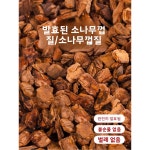 뉴질랜드 나무껍질 5파운드 건조 나비난초 재배용 흙 혼합물 비료 함유 소나무껍질 정원 원예용 : 프레스티지컴퍼니