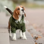 펫 클래스 : 위례소잉룸