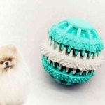 이안 덴탈토이 볼 S 개장난감 강아지장난감공 : 이안추천