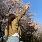 뮤즈 팬던트 크롭 가디건 A1171 : 어썸하비