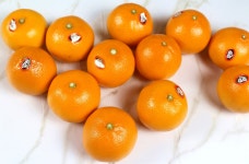 보성명가 천혜향 3kg : 보성대마