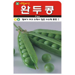 아람종묘 완두콩 씨앗 : SN월드