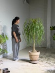 덕구리난 : deep garden