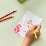 주식회사 오니스트(Ownist, Inc.) | [Ownist Garden Edition] 오니스트 트리플콜라겐 2박스 : Ownist 오니스트