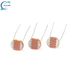100 개 5516 감광 저항 5MM 광전 GL5516 DS-9Z LDR 요소 의존 레지스터 DS-FW 검출기 광 포토 : 몽키스패너1
