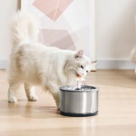 펫이랑 ALL스테인리스 고양이 강아지 정수기 2.5L : 펫이랑 PETERANG