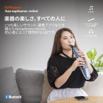 Roland 롤랜드Aerophone mini AE-01 에어로폰 미니 : Enjoy mart