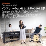 Roland 롤랜드Aerophone mini AE-01 에어로폰 미니 : Enjoy mart
