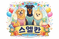 이벤트  : 스엘칸