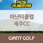 제주골프패키지 1박2일 아난티 제주cc 여행 : 국내 해외골프 부킹예약센터