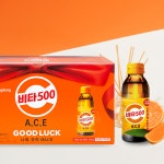 광동제약 비타500 에이스 ACE 10병 비타민C : 다나아팜