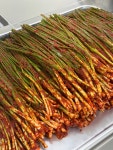 임가밥상 파김치 전라도 국내산 맛있는 쪽파김치 밥도둑 당일생산 500g : 임가밥상