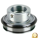 INA 외부 구면 베어링 딥 그루브 롤링 베어링 립 씰 볼 베어링 RAE20-XL-NPP-NR RAE25-XL-NPP-NR RAE30-XL-NPP-NR : 트레이드셀40