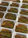 임가밥상 파김치 전라도 국내산 맛있는 쪽파김치 밥도둑 당일생산 500g : 임가밥상