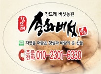송화버섯(1등급) 강원도 평창 재배 신선 산지직송 프리미엄 버섯 자연향 가득 식감 좋은 건강식품 선물용 추천 : 참뜨래 버섯농원