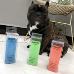 2pcs 애완견 고양이 침대 옐로우 호환 털갈이빗 털모으는 강아지털 보메 애견 파쿠파쿠 : 스튜디오 시티이에