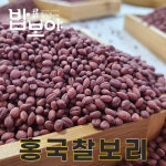 밥보야 26년산 홍국찰보리 1kg 기능성보리 : 밥보야