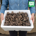 [벌크포장] 장흥머쉬아낙네 정남진농장 느타리버섯 2kg, 1개 : 솔직한농부