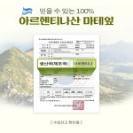 식약처 HACCP 마태차 티백 100T 남미 아르헨티나 마테차 100% 효능 무카페인 : 민이네 웰빙샵
