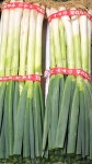 국내산 전남 흙대파 산지직송 2단4kg 4단8kg 알뜰농장 : 대기상회