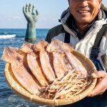 구룡포 진선장 국내산 동해 마른 오징어 포항 건조 원양산 건오징어 250g, 1개 : 디에스엠알오 유한엠알오