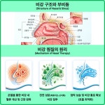 [루리앙] 국산 편백허브 신이화 코찜질팩 아로마 테라피 : 루리앙