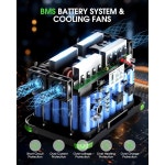 1000W 휴대용 발전소 999Wh 60W USBC PD 출력의 태양광 발전기 내장 BM Orange : 라라비앙코