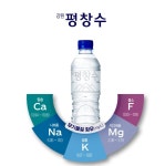 500ml 200병 강원 평창수 샘물 안전한 생수 배달 맑은 에코 정기 고급 물 지하수 : 드리밍토리