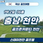 국내 충남천안 골프존카운티 천안 1박2일 골프패키지 : 조이 투어