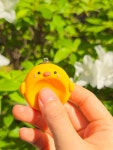 병아리 워리스톤 걱정 돌 불안 핸드메이드 키링 귀여운 동물 : 해아재
