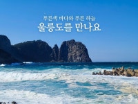 단독형럭셔리 포항영일만 출발 [울릉크루즈] 울릉도독도여행 단독택시투어 : 울릉행복투어