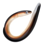 eAj 오리글램 장어 루어, 30CM / 11.81인치 부드러운 PVC 장어 낚시 루어, 1개, 소금물 & 민물, 낚시 바늘 : 판부몰N